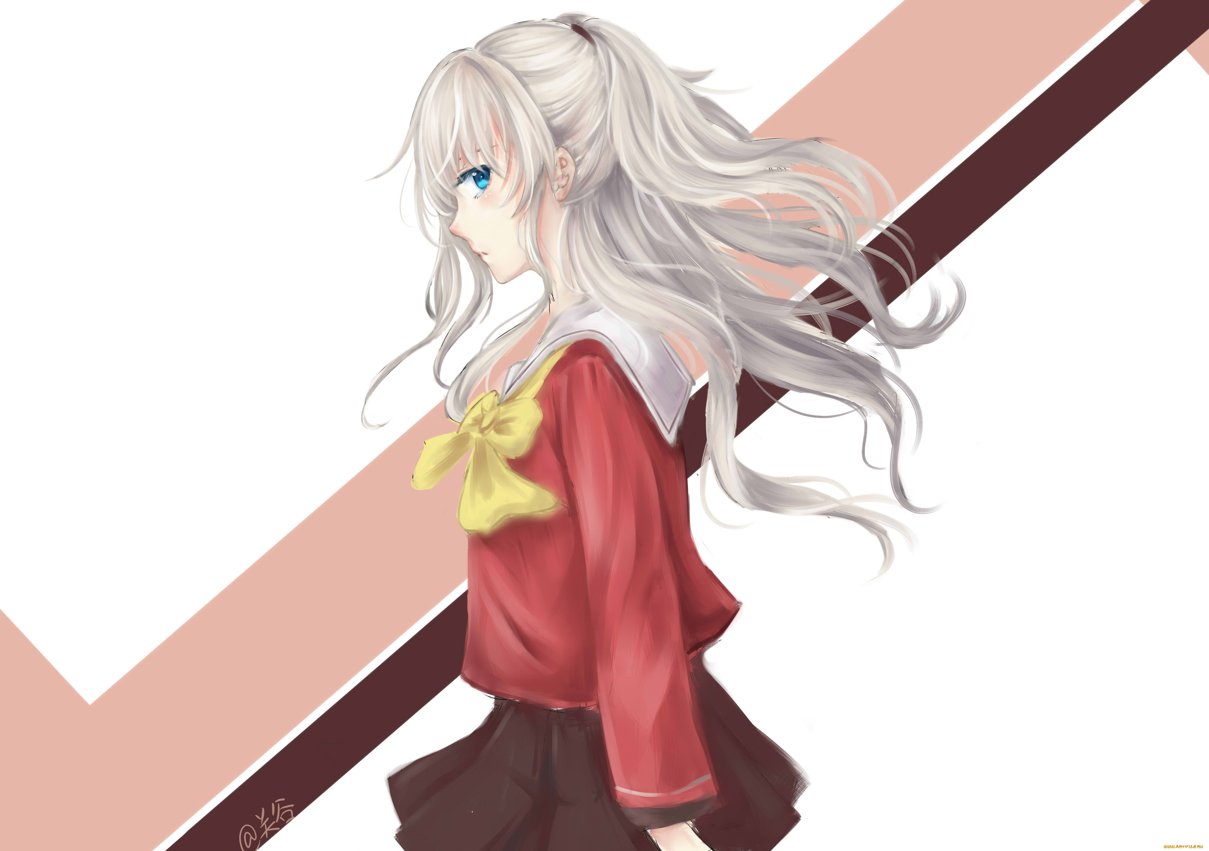 , charlotte